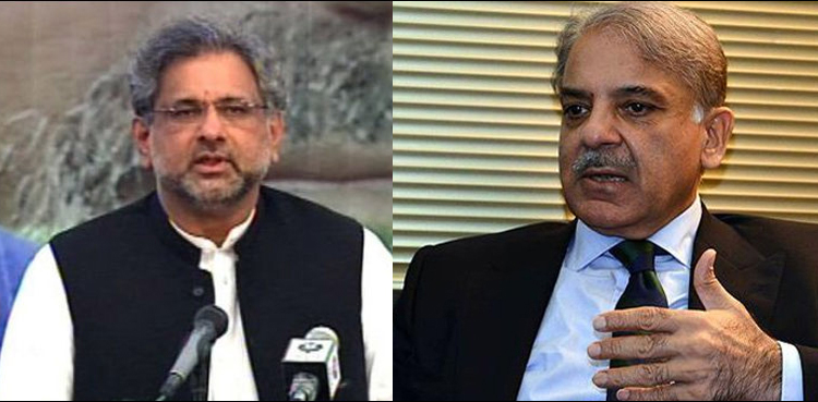 پوری پارٹی رانا ثنا اللہ اور ان کی فیملی کے ساتھ ہے: شہباز شریف