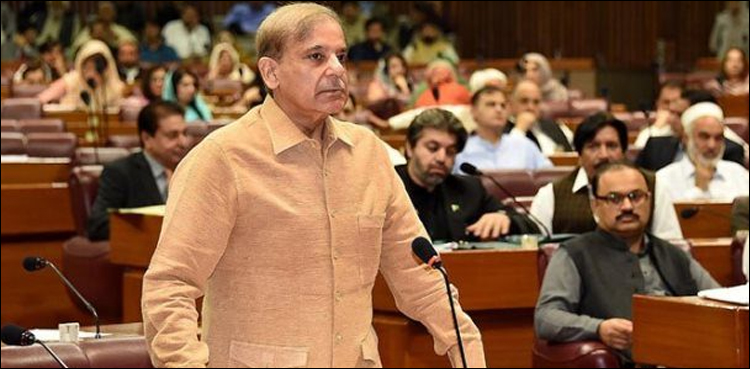 رانا ثنا اللہ زمین پر سورہے ہیں، بیڈ اور چارپائی نہیں‌ ہے، شہباز شریف