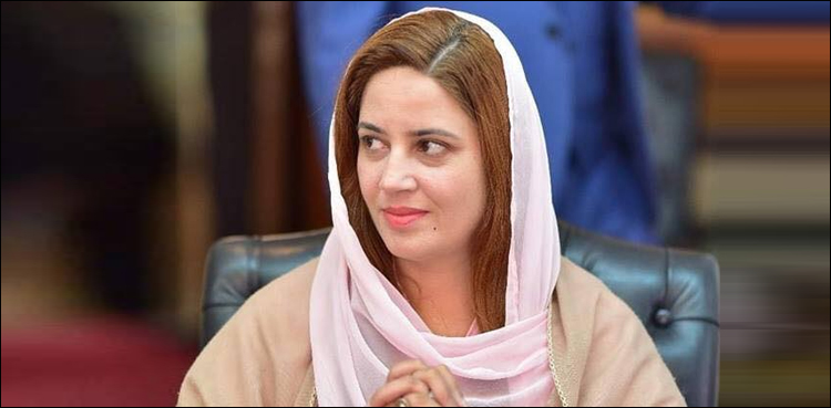 ذرائع بلاغ پر قدغن نہیں، حکومت آزاد میڈیا کی سب سے بڑی سپورٹر ہے، زرتاج گل
