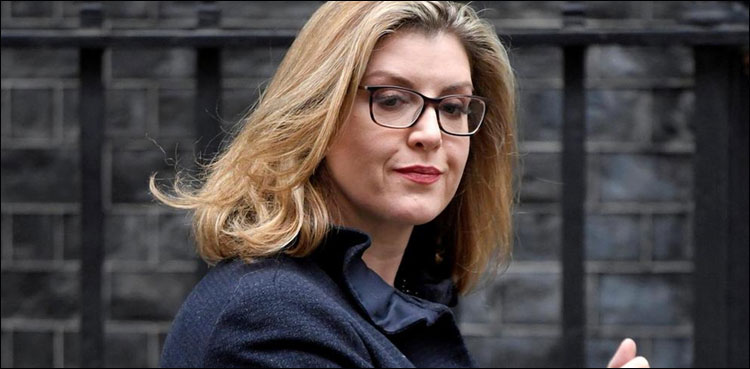 جہازرانی،اشیاءکی آزادانہ نقل وحمل کا تحفظ کرتے  رہیں گے،برطانوی وزیردفاع