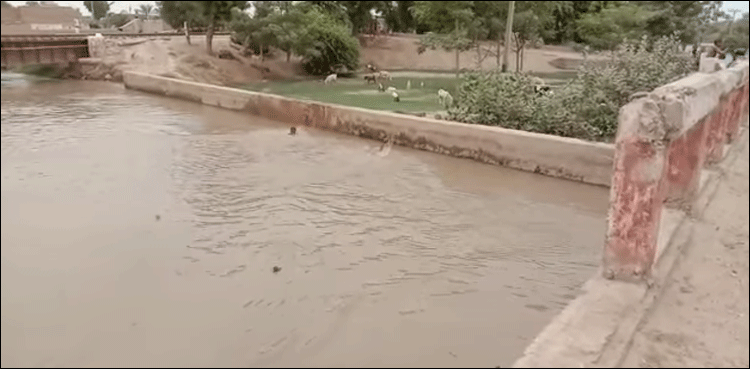 خیرپور: کتوں سے بچنے کے لیے نہر میں چھلانگ لگانے والے بچے کی لاش مل گئی