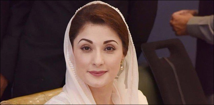 نیب پیشی پر مریم نواز سے تحقیقات اورسوالات کی اندرونی کہانی سامنے آگئی