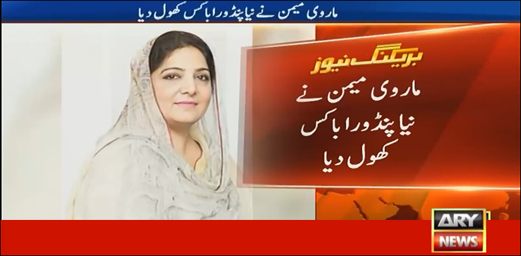 ماروی میمن نے انوشہ رحمان اور اسحاق ڈار سے متعلق پریس کانفرنس کا عندیہ دے دیا