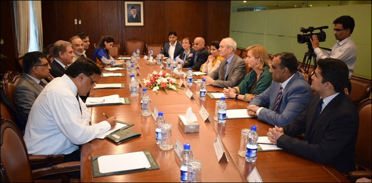 کشمیر میں مظالم کو اجاگر کرنے میں برطانوی و یورپی پارلیمنٹیرینز کا کردار اہم  ہے: شاہ محمود