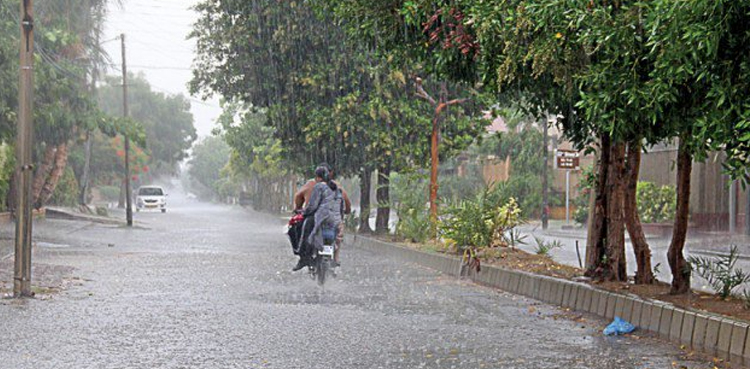 Rain