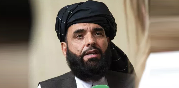 پاکستان نے دورے کی دعوت دی تو اسے ضرور قبول کریں گے، افغان طالبان