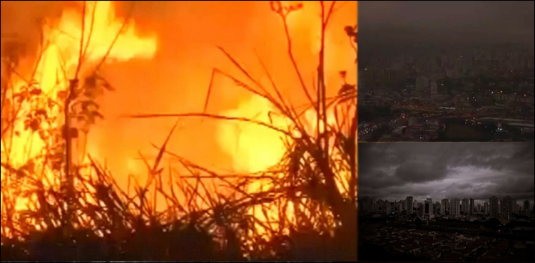 خوفناک آگ نے ایمزون کے جنگل میں تباہی مچادی