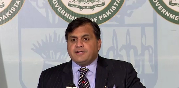 کشمیر پر عالمی برادری پاکستان کے مؤقف سے متفق نظر آرہی ہے: دفتر خارجہ