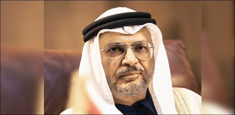یمن میں اماراتی فوج کی تعیناتی میں سعودیہ کو اعتماد میں لیا گیا،انور قرقاش