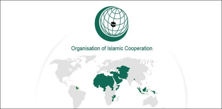 او آئی سی نے کشمیریوں کے حق خود ارادیت کی حمایت کردی