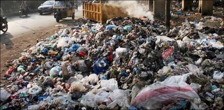 کراچی: عید الاضحیٰ اور بارشوں کو کئی روز گزر گئے، شہر میں صفائی نہ ہو سکی
