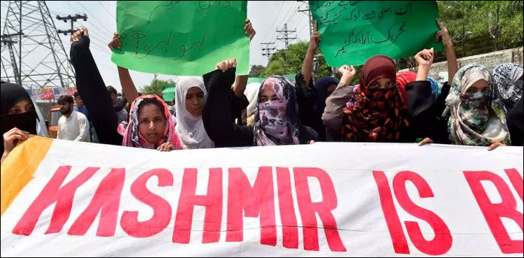 14 اگست کو یوم یکجہتی کشمیر اور 15 اگست کو یوم سیاہ منانے کا فیصلہ