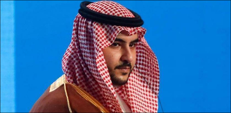 جنوبی یمن میں قیام امن کے لیے سعودی عرب کی انتھک کاوشوں کی تحسین