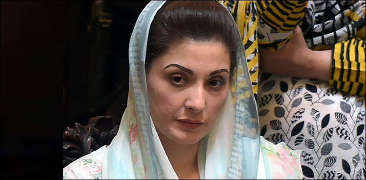 مریم نواز کا نیب کے سامنے پیش ہونے کا فیصلہ