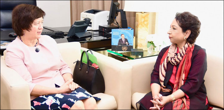 بھارتی اقدامات سے خطے کے امن کو سنگین خطرہ لاحق ہے: ملیحہ لودھی