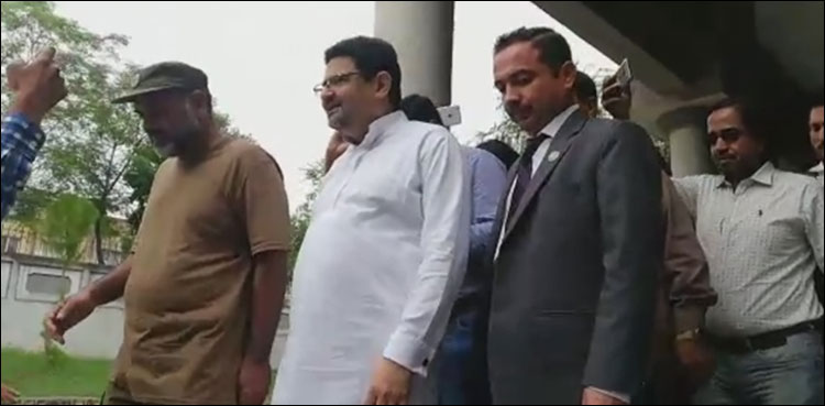 سابق مشیر خزانہ مفتاح اسماعیل ہائیکورٹ کے احاطے سے گرفتار