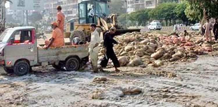 عیدالاضحی پر آلائشیں ٹھکانے لگانے کے لیے لائحہ عمل تیار