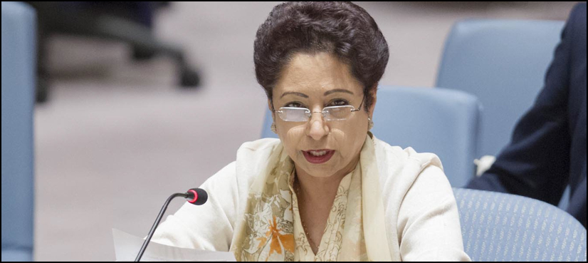 آج بھارت کا دعویٰ غلط ثابت ہوگیا کہ کشمیر ان کا اندرونی معاملہ ہے، ملیحہ لودھی