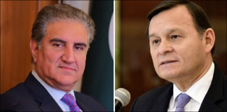 شاہ محمود قریشی کا پیرو اور جمہوریہ ڈومینیکن کے وزرائے خارجہ سے فون پر رابطہ