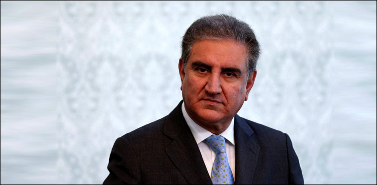 شاہ محمود قریشی کا جنوبی افریقا کی ہم منصب سے ٹیلی فونک رابطہ