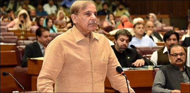 کشمیر کی صورت میں ایک اور فلسطین بنانے کی اجازت نہیں دیں گے، شہباز شریف