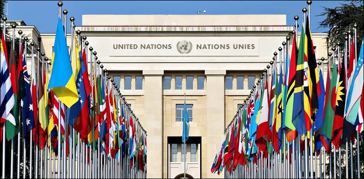 پاکستان نے یو این انسانی حقوق کونسل میں بھارت کے غیر قانونی اقدام کو چیلنج کر دیا