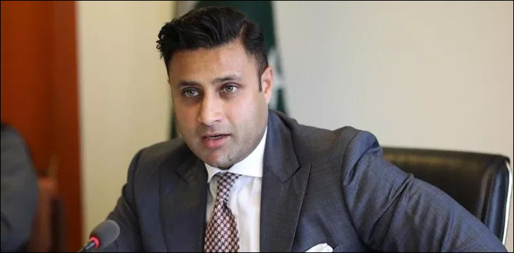 چین میں پھنسے پاکستانیوں کو واپس نہ لانے کا فیصلہ صحیح تھا، زلفی بخاری