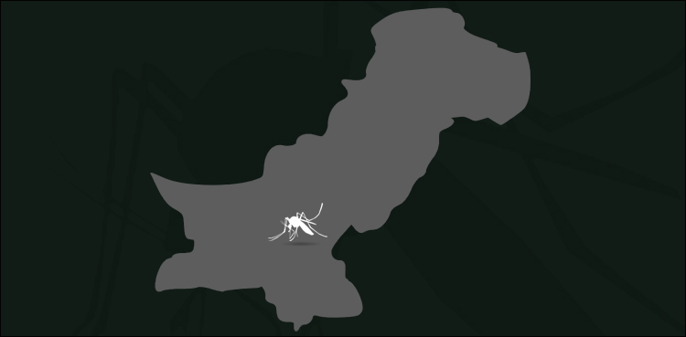 ڈینگی وائرس: ملک بھر میں مزید تیرہ سو سے زائد افراد شکار