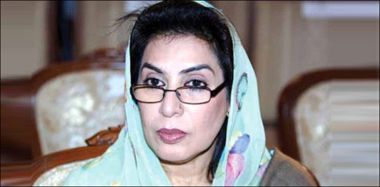 پہلے قائد اعظم گیمز کا مقصد معذور بچوں کو مکمل سپورٹ دینا ہے: فہمیدہ مرزا
