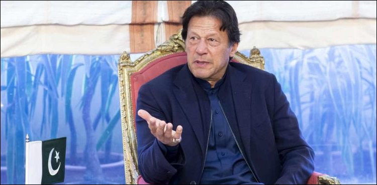 میں پوری دنیا میں مظلوم کشمیریوں کا سفیر بنوں گا، وزیراعظم عمران خان