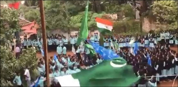 Pakistani flag