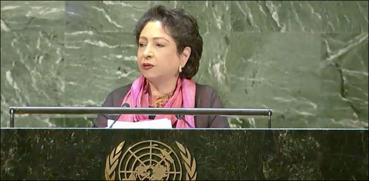 مسئلہ کشمیر اقوام متحدہ کی قراردادوں پر عدم عملدر آمد کی واضح نشانی ہے: ملیحہ لودھی