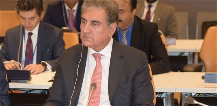 شاہ محمود قریشی کی مختلف ممالک کے وزرائے خارجہ سے ملاقاتیں