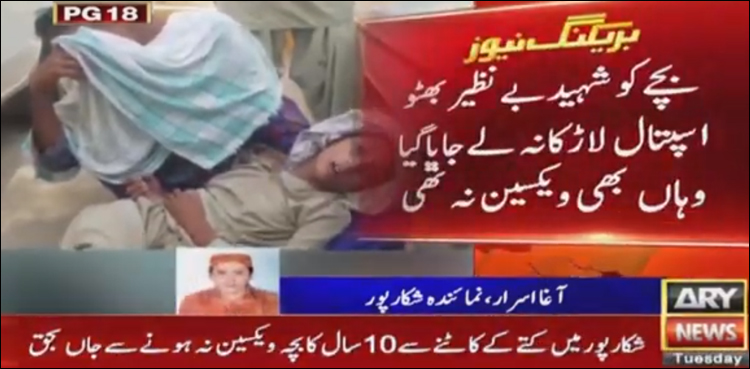 شکارپور میں کتے کے کاٹے سے 10 سال کا بچہ ویکسین نہ ہونے سے جاں بحق