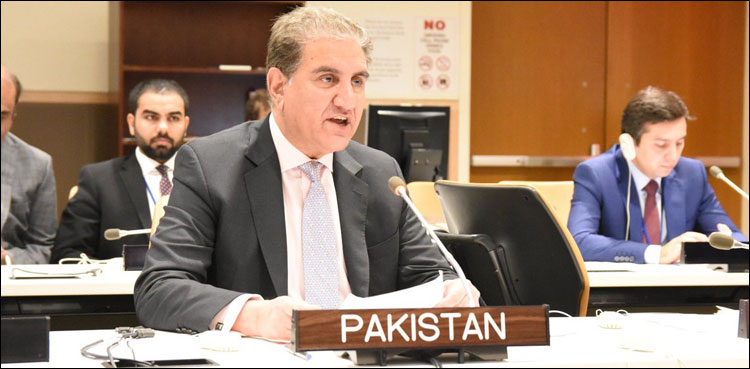 شاہ محمود قریشی کی مختلف ممالک کے خارجہ حکام سے ملاقات