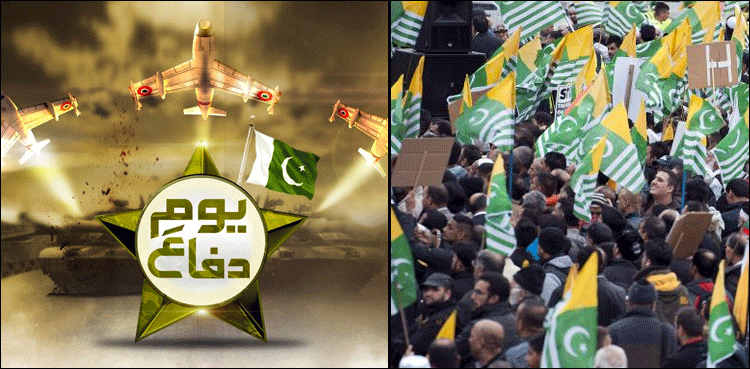 ملک بھرمیں یوم دفاع کشمیریوں کے ساتھ اظہار یکجہتی کرتے ہوئے منایا جا رہا ہے