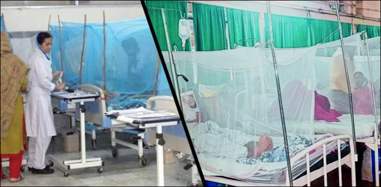 کراچی: نجی اسپتال میں ڈینگی وائرس کی زیر علاج خاتون چل بسیں