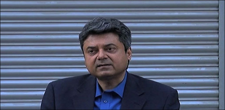 ہم سپریم کورٹ کی معاونت کرنا چاہتے ہیں، فروغ نسیم