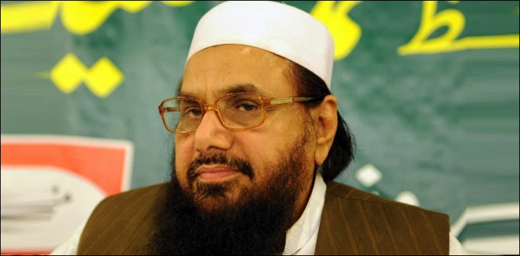 اقوام متحدہ کی حافظ سعید کو منجمد اکاؤنٹس سے ماہانہ رقم نکالنے کی اجازت