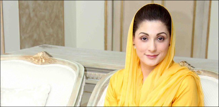 مریم نواز کی درخواست ضمانت ، نیب حکام نے اپنا جواب عدالت میں جمع کرادیا