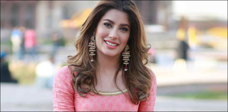 مہوش حیات کی پریانکا کے شوہر نک جونس کے ساتھ تصویر وائرل