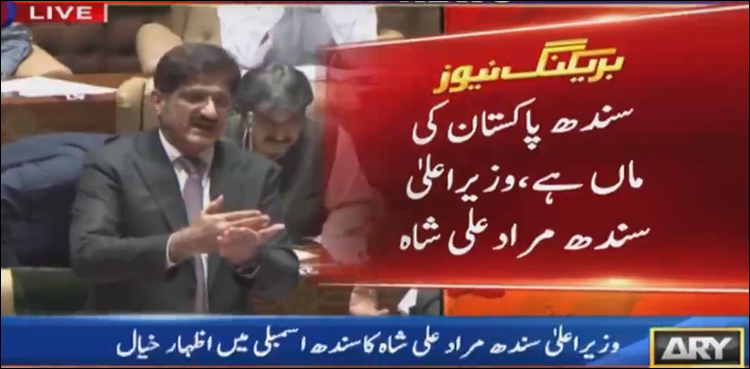سندھ اسمبلی کا اجلاس: وزیر اعلیٰ مرادعلی شاہ کی وفاقی حکومت پرکڑی تنقید
