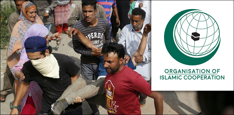 مقبوضہ کشمیر میں بھارتی مظالم پر او آئی سی انسانی حقوق کمیشن کا اظہار تشویش