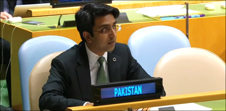 بھارت نے مقبوضہ کشمیر میں ریاستی دہشت گردی کی پالیسی اختیار کر رکھی ہے، پاکستان