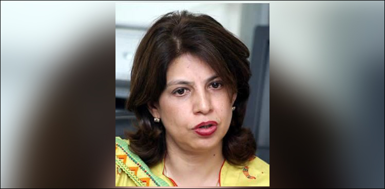 القاعدہ کو امریکا ہی لایا تھا،امریکیوں کوحقیقت وقت کےساتھ بتانا ہوگی، تسنیم اسلم