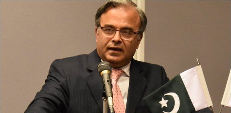 پاکستان ٹیک سیکٹر میں سرمایہ کاری کے وسیع مواقع ہیں: اسد مجید خان
