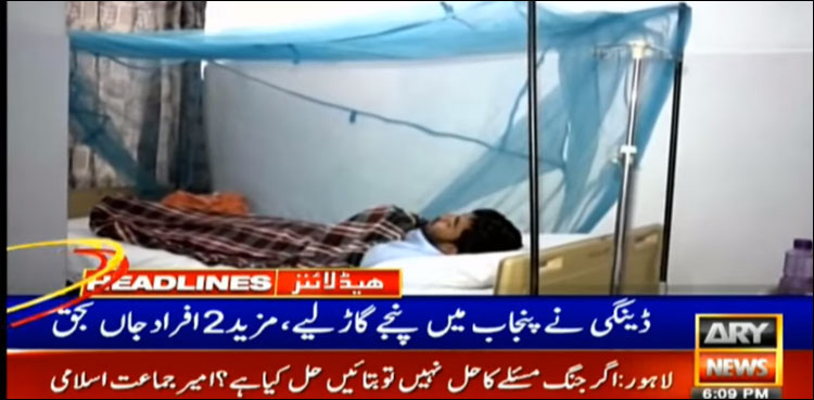 ڈینگی نے پنجاب میں پنجے گاڑ لیے، مزید 2 مریض جاں بحق