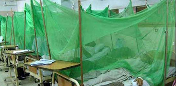 ڈینگی وائرس نے گزشتہ 24 گھنٹے میں ایک اور قیمتی جان لے لی