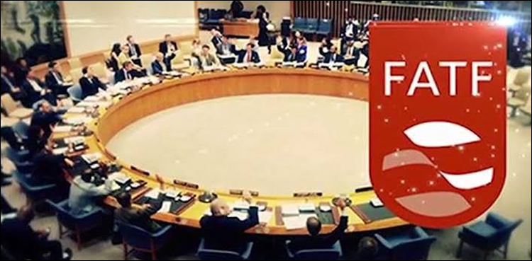 ایف اے ٹی ایف اجلاس، بھارت کی پاکستان کو بلیک لسٹ میں ڈالنے کی کوشش ناکام