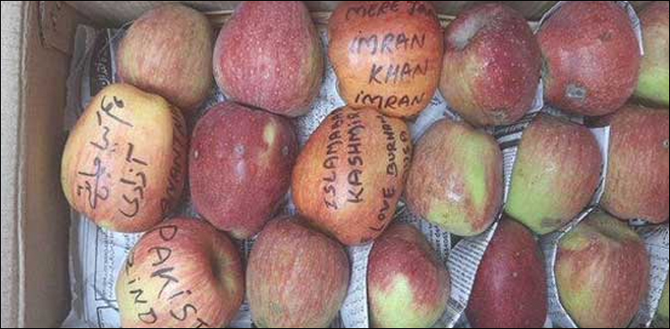 کشمیریوں کا انوکھا احتجاج، سیب پر نعرے لکھ کر بھارت بھیج دئیے